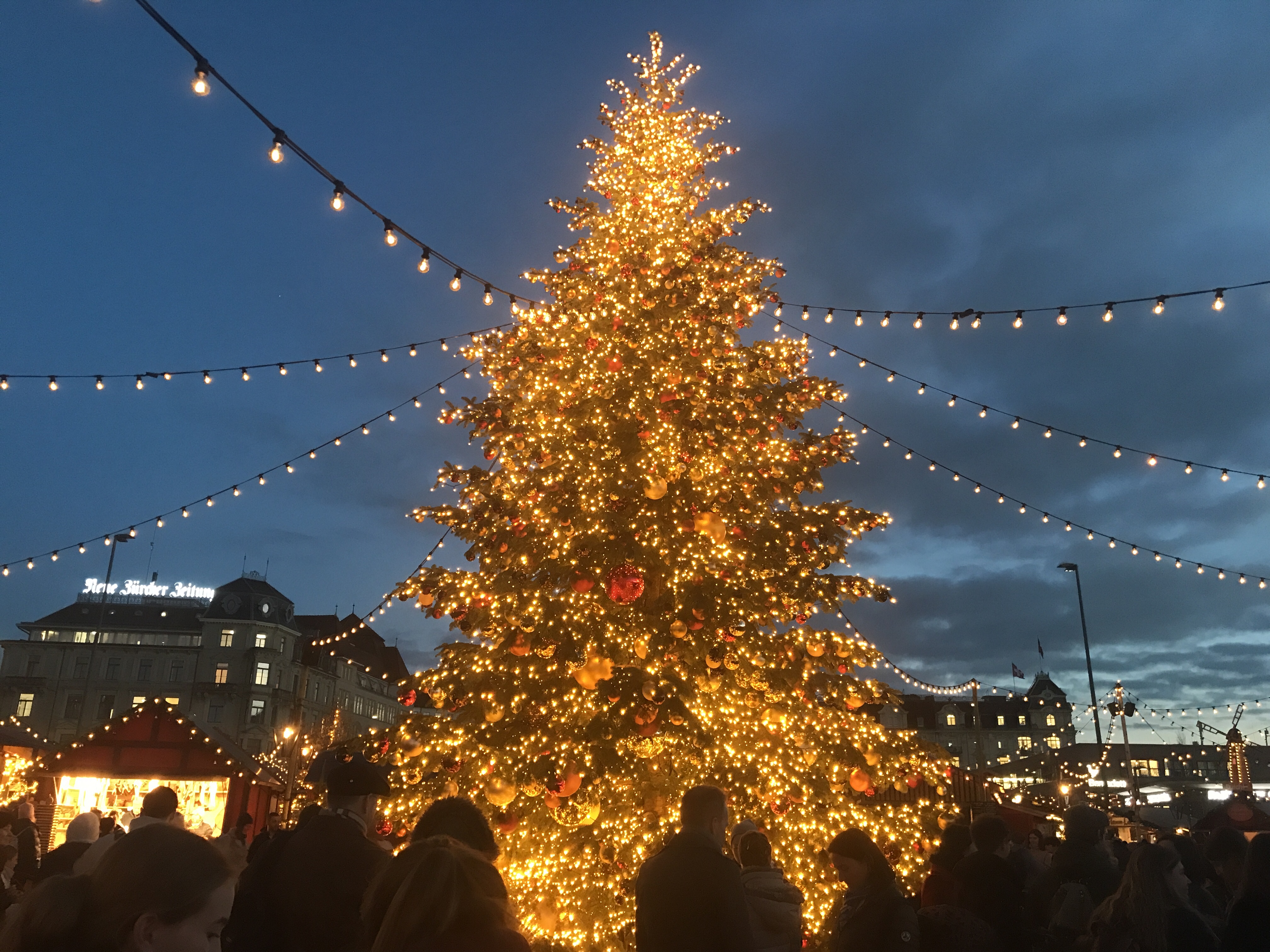 Christmas Market Survival Guide