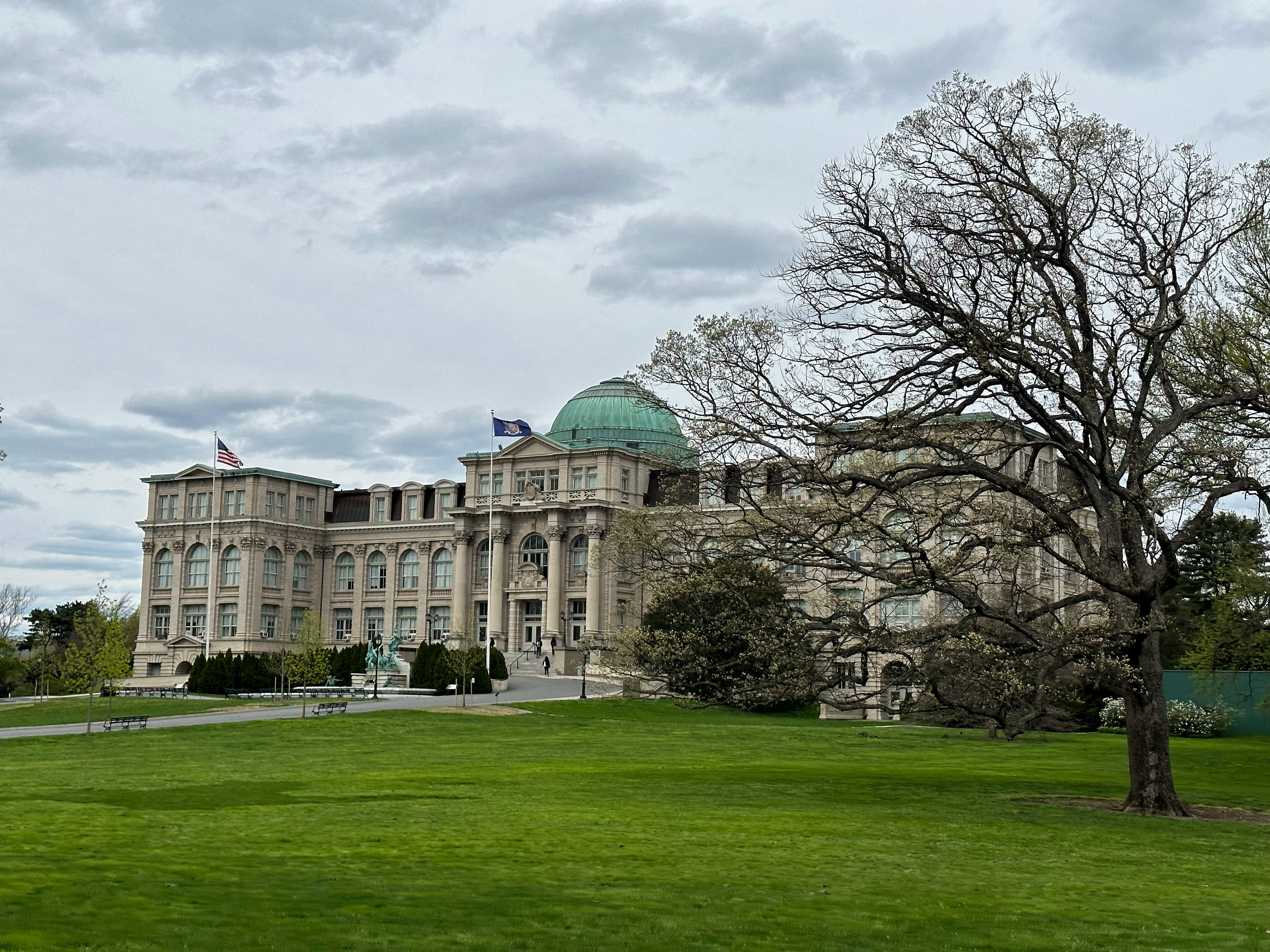 New York Botanical Garden’s Annual Orchid Show