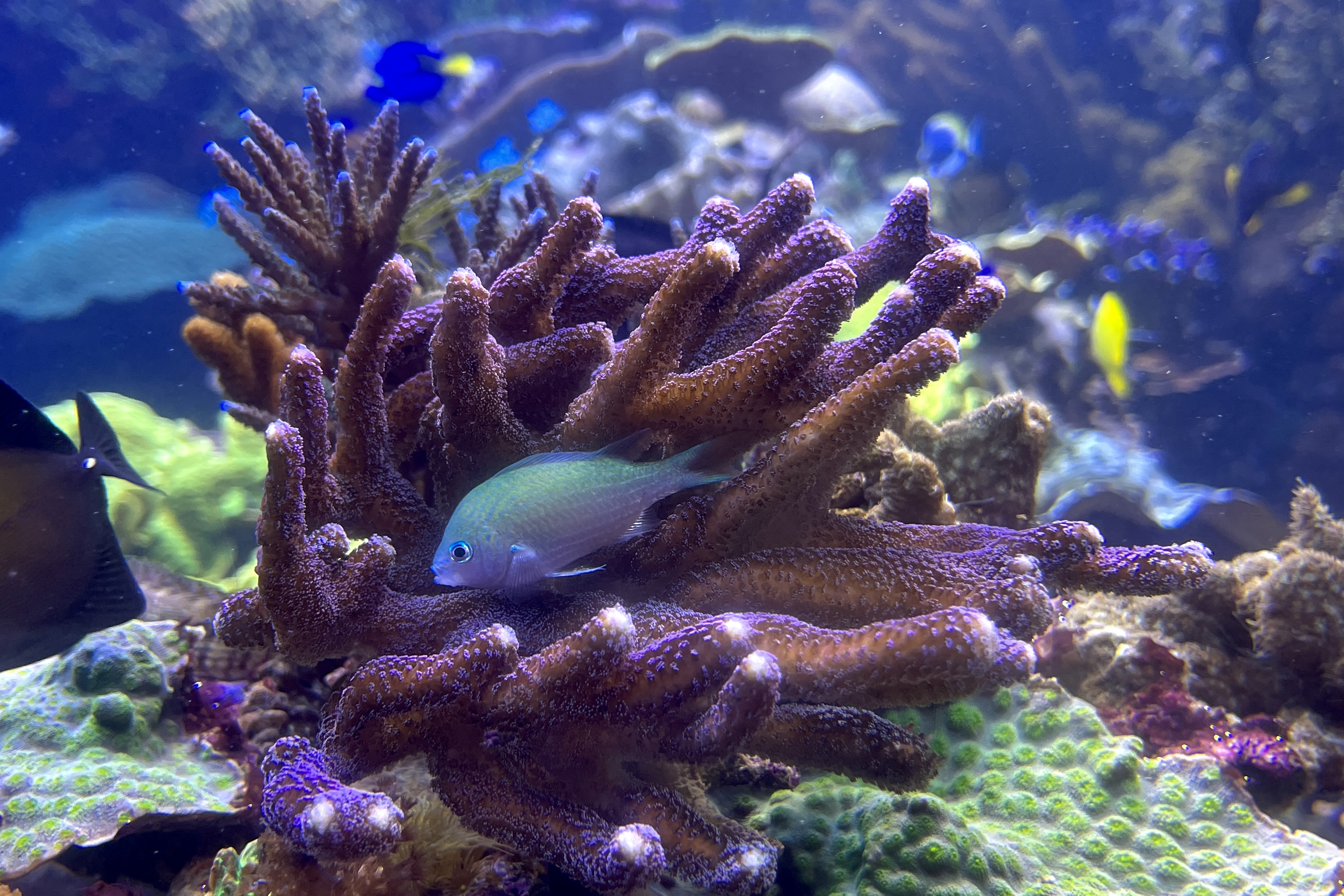 A Day At The Long Island Aquarium