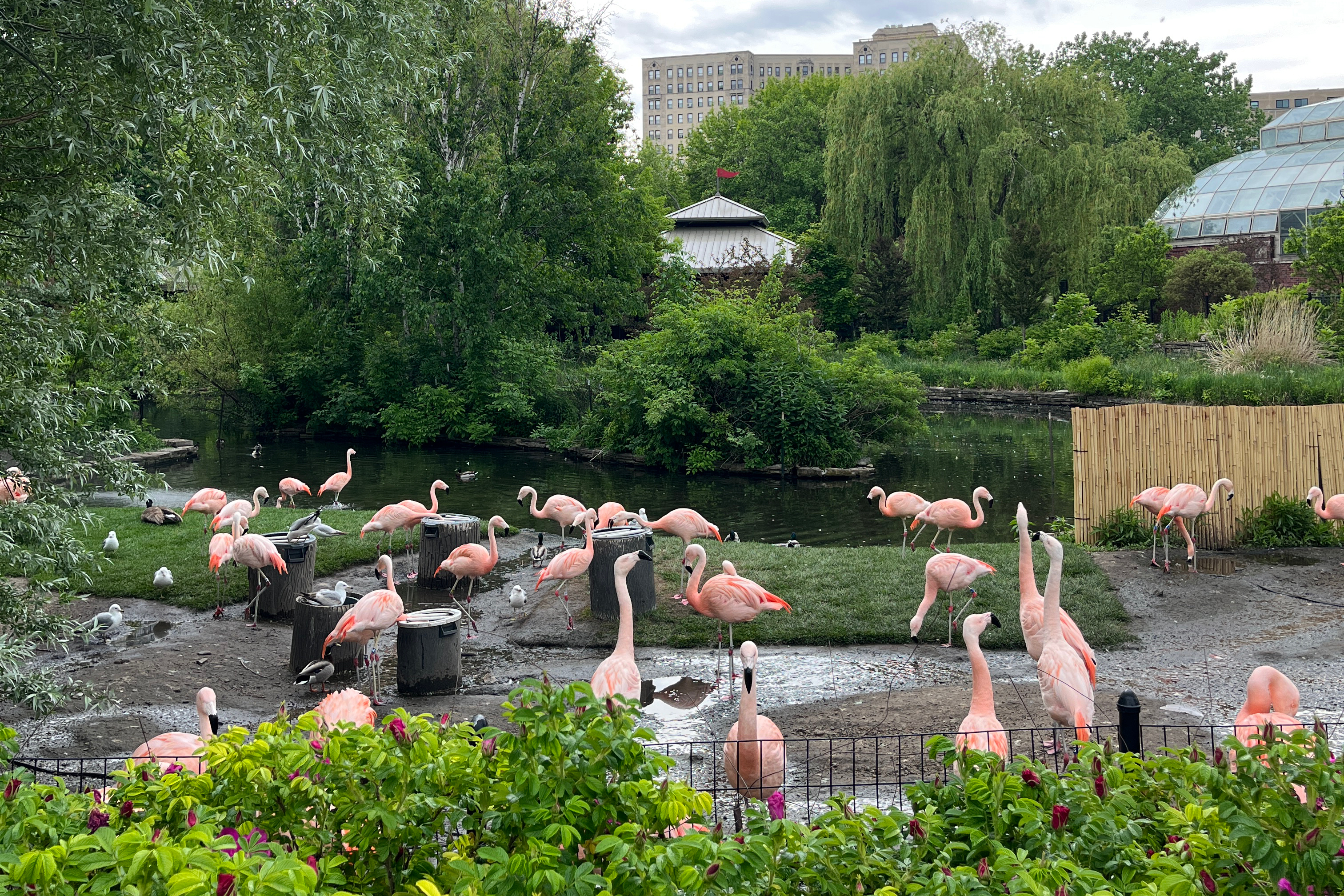 What To Do In Lincoln Park, Chicago