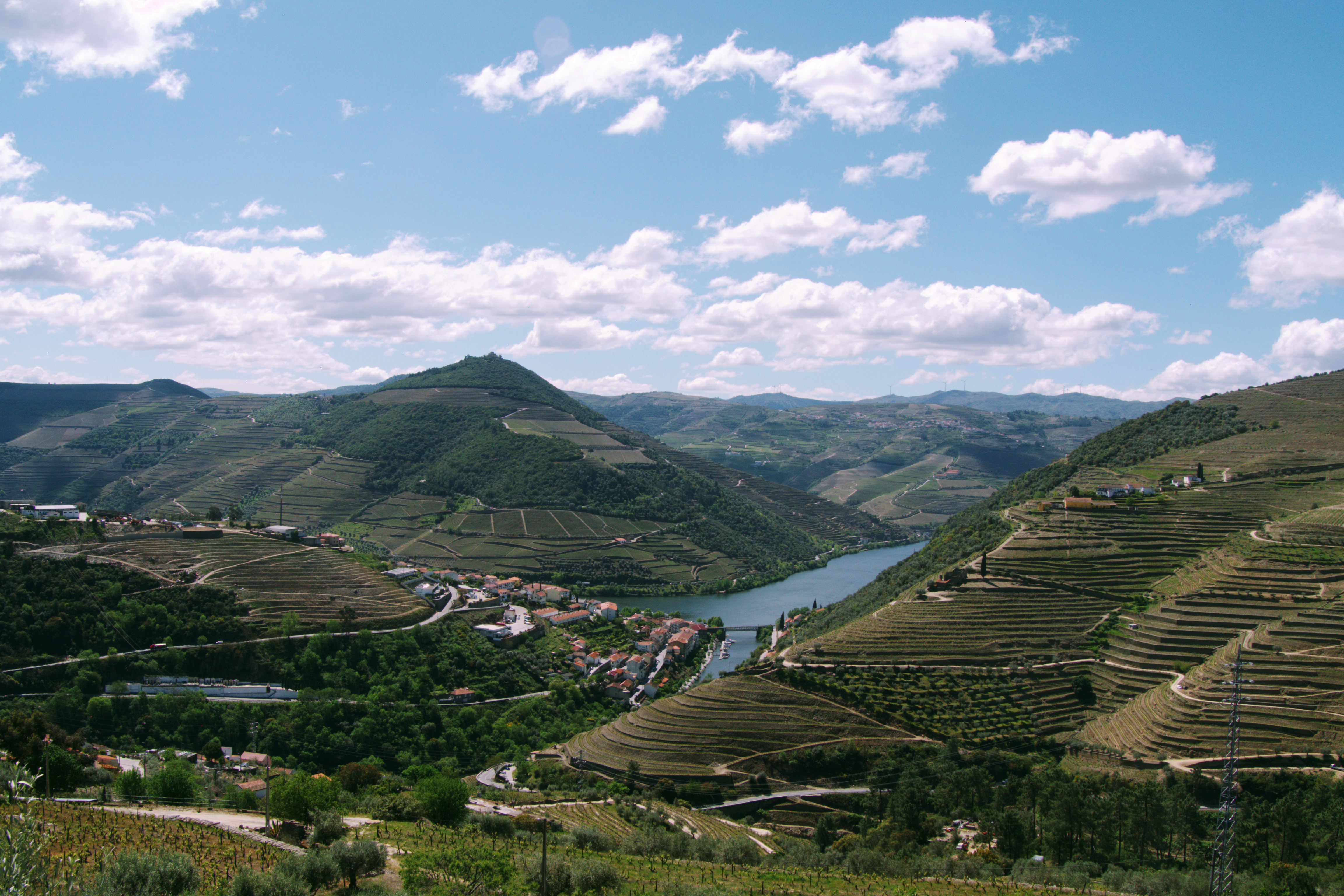 Douro Valley Wine Tour