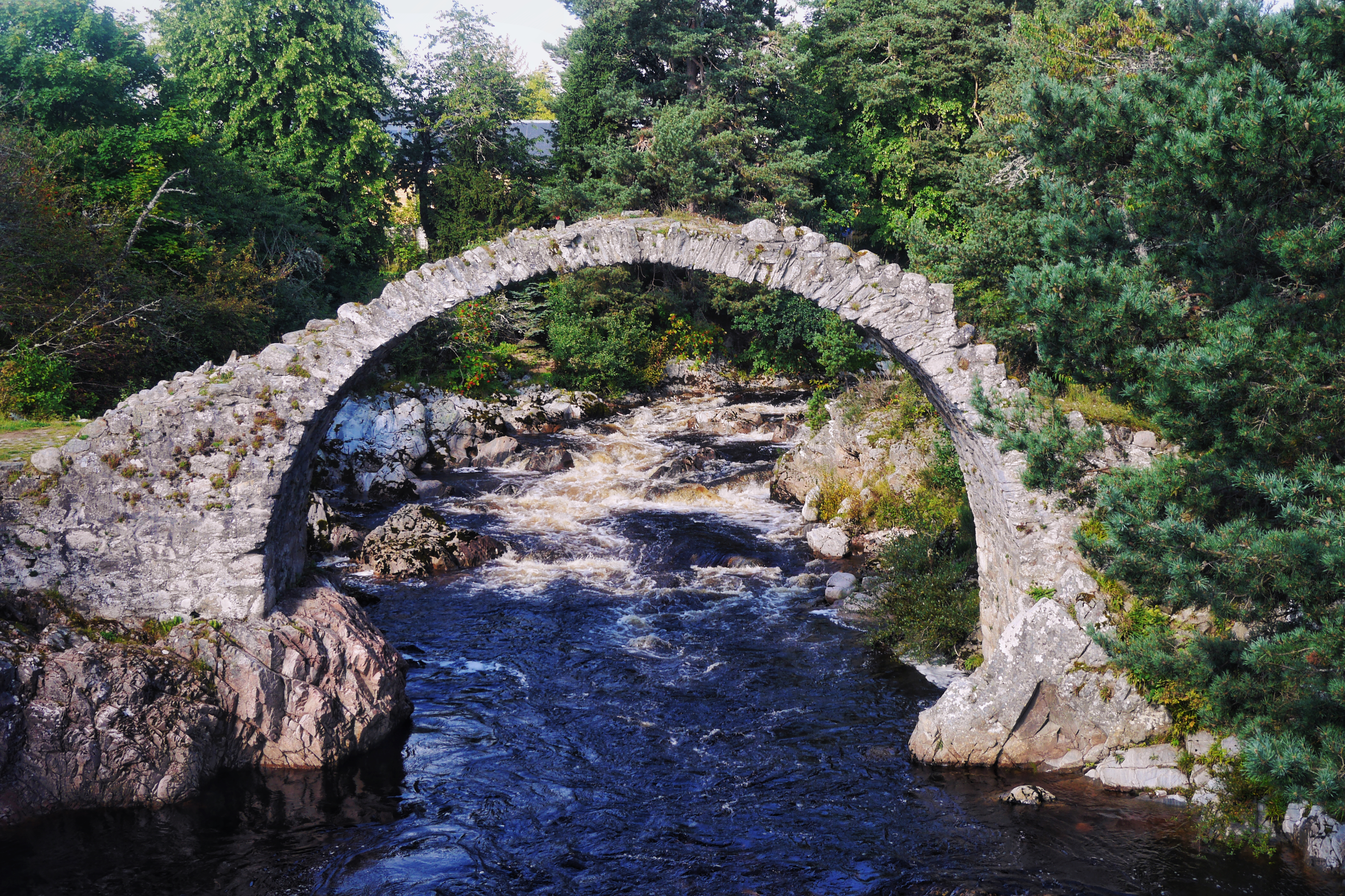 Whisky Tasting and Scenic Views in Scotland’s Cairngorms