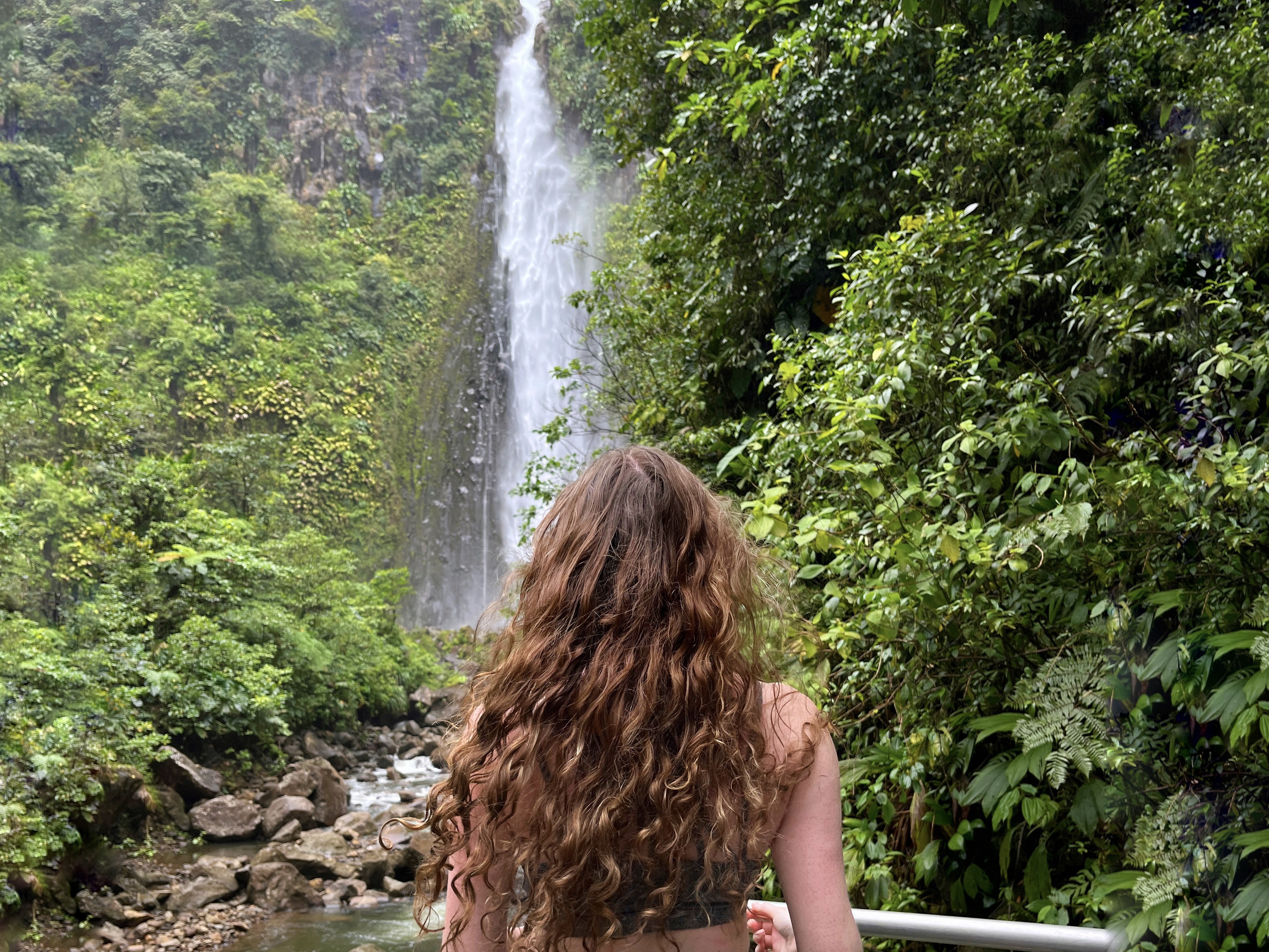 Exploring Basse-Terre, Gaudeloupe