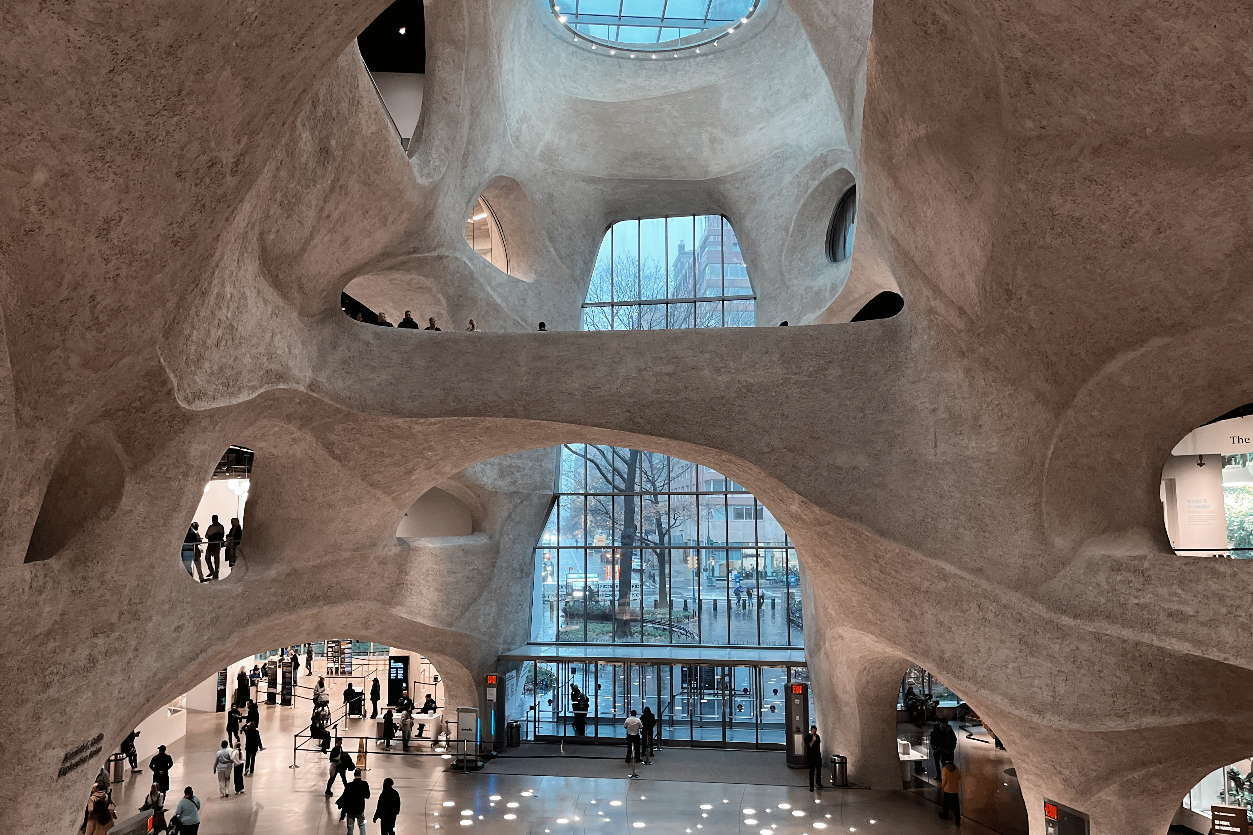 Museum Highlight- NYC’s American Museum of Natural History